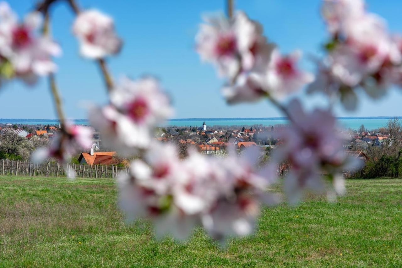 Villa7 Alsóörs Dış mekan fotoğraf